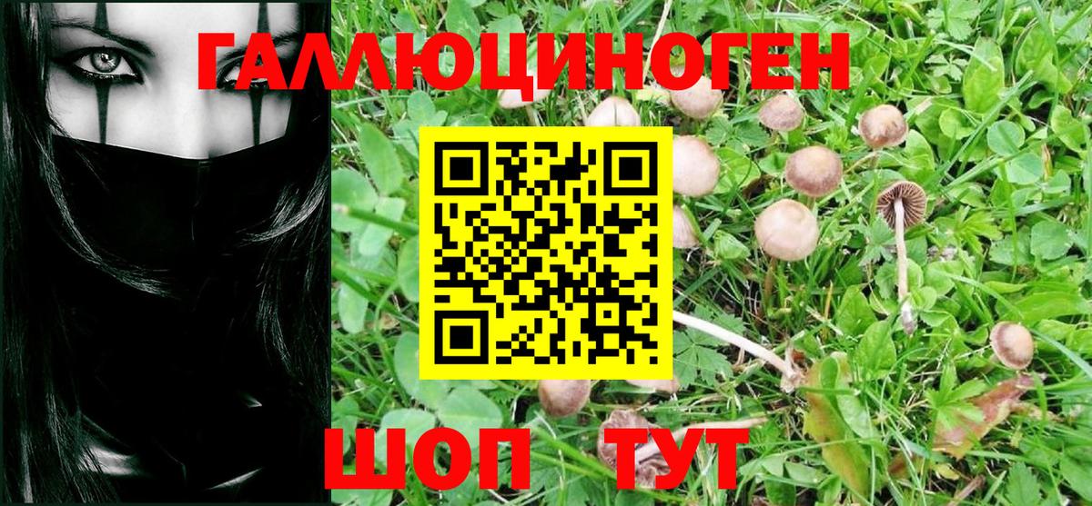 Галлюциногенные грибы MAGIC MUSHROOMS Тихвин