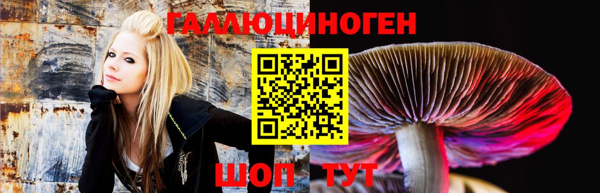Галлюциногенные грибы Psilocybe  Вход с VPN  Тихвин  Галлюциногенные грибы MAGIC MUSHROOMS 